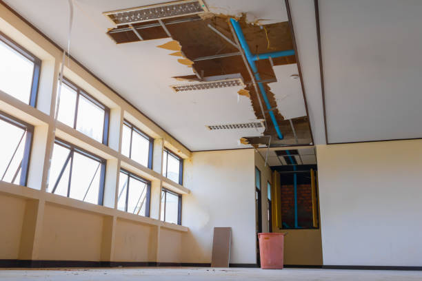 Best Basement water damage restoration  in Kdeer, IL