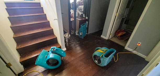 Best Water damage restoration near me  in Kdeer, IL