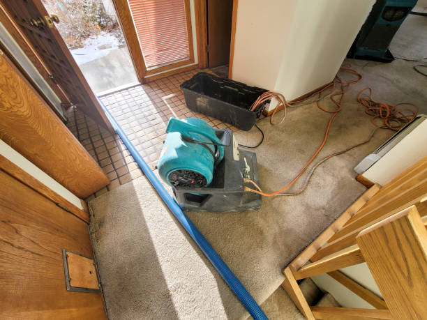 Best Water damage cleanup near me  in Kdeer, IL