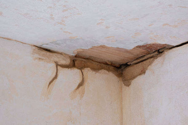 Best Fire Damage Restoration  in Kdeer, IL