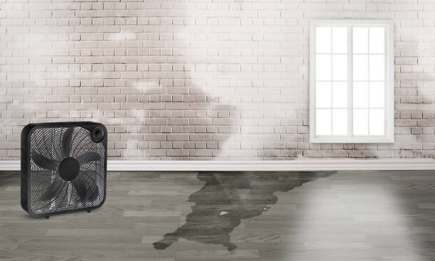 Best Flooded house restoration  in Kdeer, IL