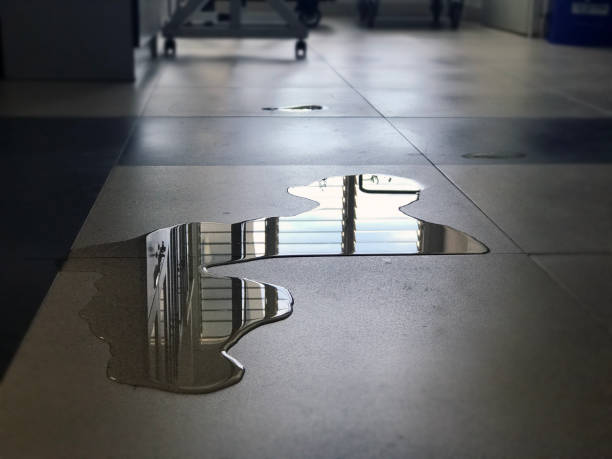 Best Water damage restoration near me  in Kdeer, IL