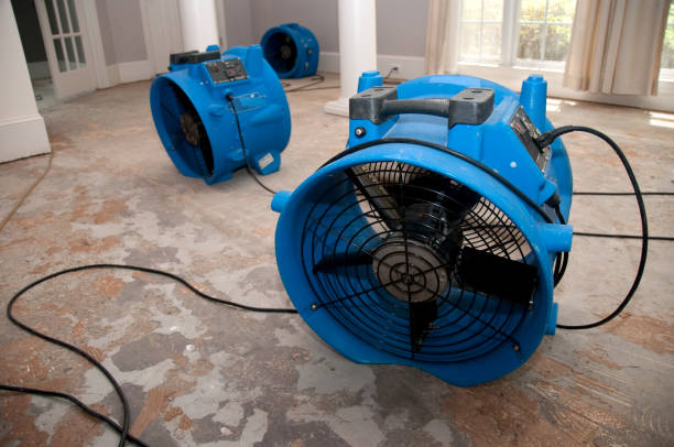 Best Ceiling water damage repair  in Kdeer, IL
