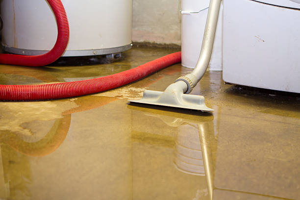 Best Sewage cleanup and water damage restoration  in Kdeer, IL