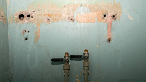 Best Local water damage restoration  in Kdeer, IL